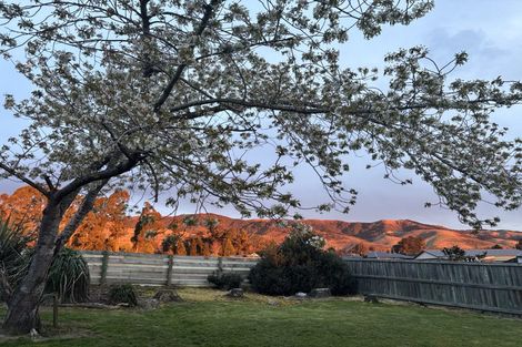 Photo of property in 30 Durham Street, Tapanui, 9522