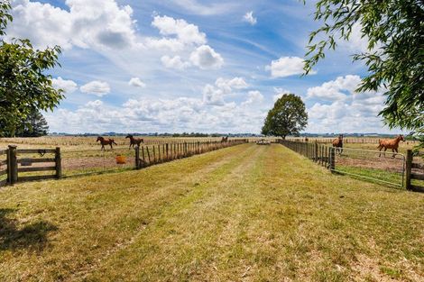 Photo of property in 176 Colemans Road, Marton, 4787