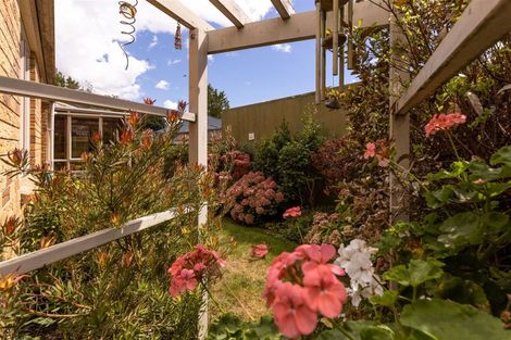 Photo of property in 33b Litchfield Street, Redwoodtown, Blenheim, 7201