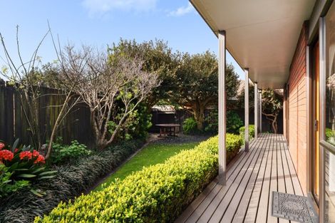 Photo of property in 306b Maungatapu Road, Maungatapu, Tauranga, 3112