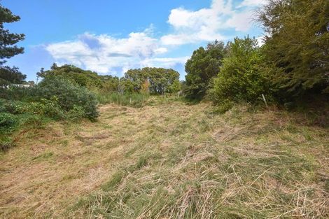 Photo of property in 188a Evans Street, Opoho, Dunedin, 9010