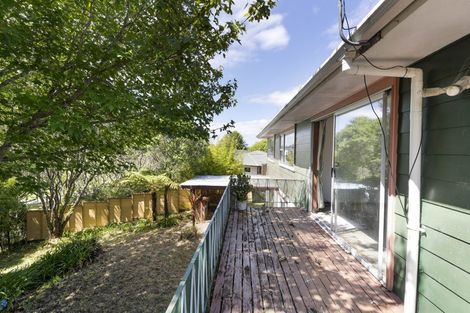 Photo of property in 106 Sycamore Drive, Sunnynook, Auckland, 0620