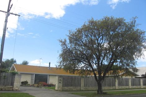 Photo of property in 3 Carvell Street, Blenheim, 7201