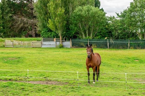 Photo of property in 68 Wigan Street, Gore, 9710