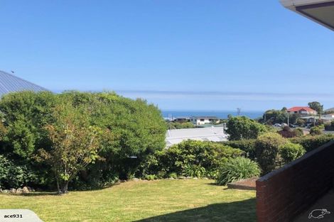 Photo of property in 222 Highcliff Road, Shiel Hill, Dunedin, 9013