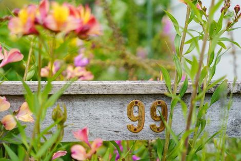 Photo of property in 99 Settlement Road, Te Horo, Otaki, 5582