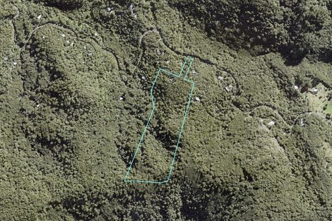 Photo of property in 121 Lone Kauri Road, Karekare, New Lynn, 0772