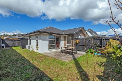 Photo of property in 1 Brigidine Place, Pahiatua, 4910
