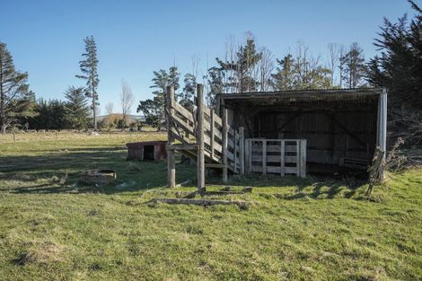Photo of property in 21 Miller Street, Cheviot, 7310