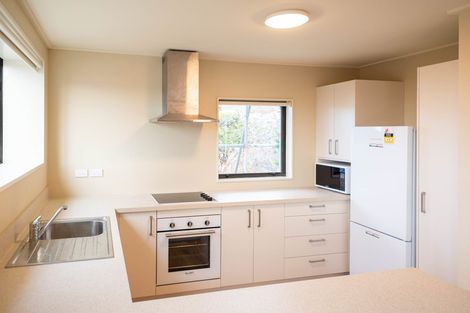 Photo of property in 44 Argyle Street, Mornington, Dunedin, 9011