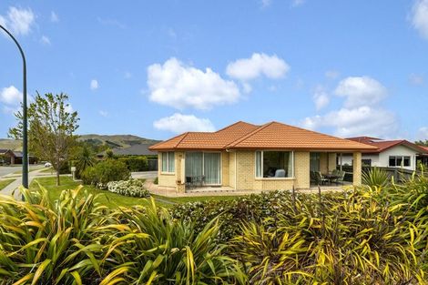 Photo of property in 30 Tremorne Avenue, Blenheim, 7201
