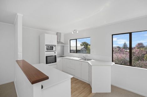 Photo of property in 1124 Cameron Road, Gate Pa, Tauranga, 3112