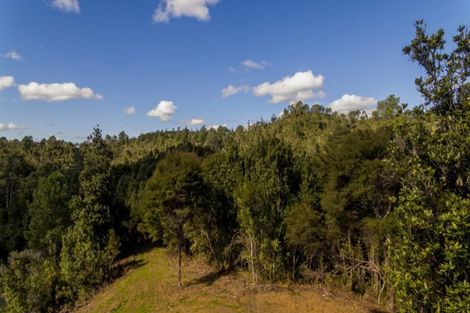 Photo of property in 625 Rangihau Road, Coroglen, Whitianga, 3591