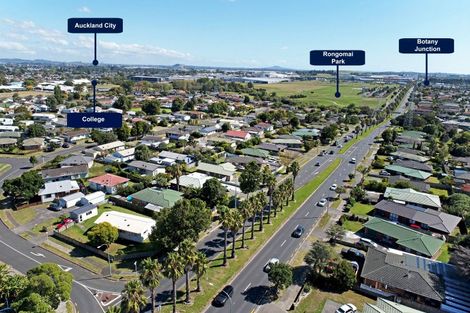 Photo of property in 165 Te Irirangi Drive, Flat Bush, Auckland, 2019