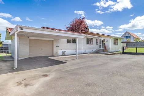 Photo of property in 97a Weraroa Road, Levin, 5510