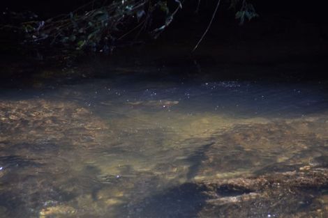 Photo of property in 2005 Ongarue Stream Road, Waimiha, 3998