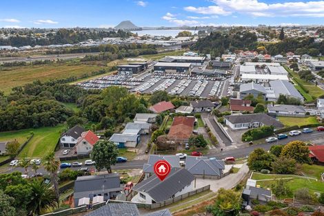 Photo of property in 102b Laurence Street North, Gate Pa, Tauranga, 3112