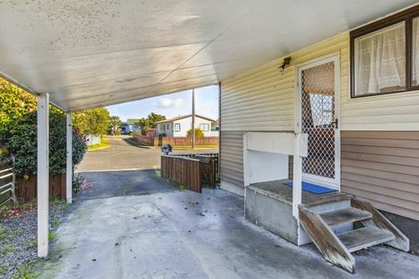 Photo of property in 12 Douglas Street, Levin, 5510