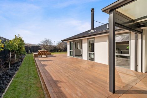 Photo of property in 87 Edward Street, Lincoln, 7608