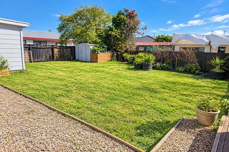 Photo of property in 24b Campbell Road, Mount Maunganui, 3116