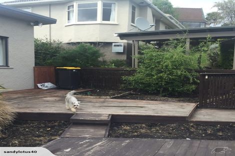 Photo of property in 36 Clyde Street, Roseneath, Port Chalmers, 9023