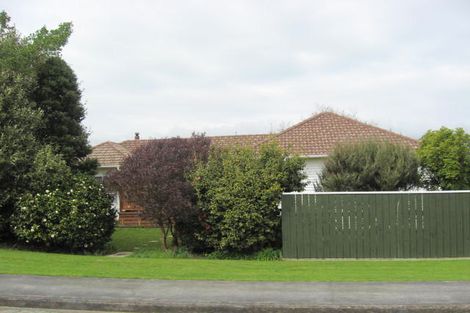 Photo of property in 28 Edinburgh Street, Levin, 5510