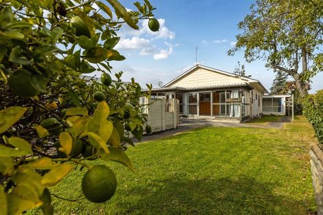 Photo of property in 17 Nosworthy Street, Blenheim, 7201