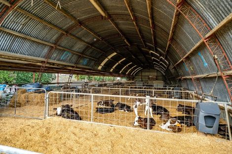 Photo of property in 99 Livingstone Road, Ngahinapouri, Hamilton, 3290