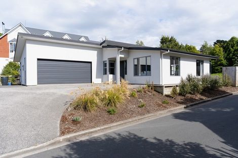 Photo of property in 2a Clayton Street, Saint Clair, Dunedin, 9012