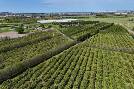 Photo of property in 19 Pilmer Road, Makauri, Gisborne, 4071