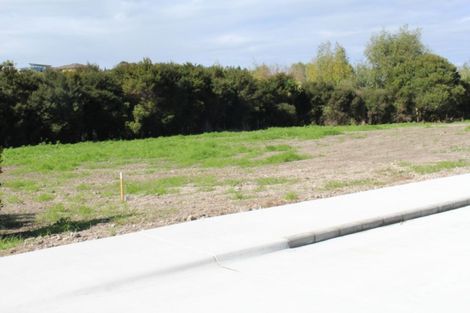 Photo of property in 111 Mangawhai Heads Road, Mangawhai Heads, Mangawhai, 0573