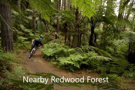 Photo of property in 58a Lynmore Avenue, Lynmore, Rotorua, 3010