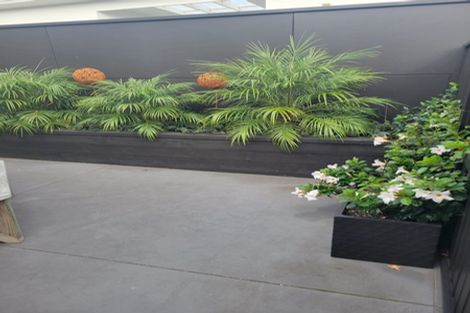 Photo of property in 408 Carrington Street, Upper Vogeltown, New Plymouth, 4310