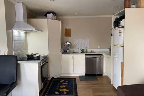 Photo of property in 217b Killarney Road, Frankton, Hamilton, 3204