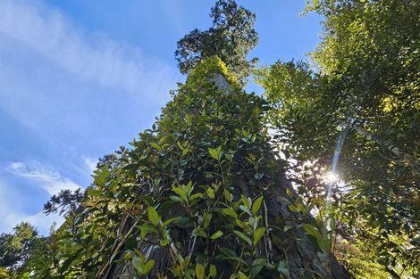 Photo of property in 215 Clifton Road, Kaiata, Greymouth, 7805