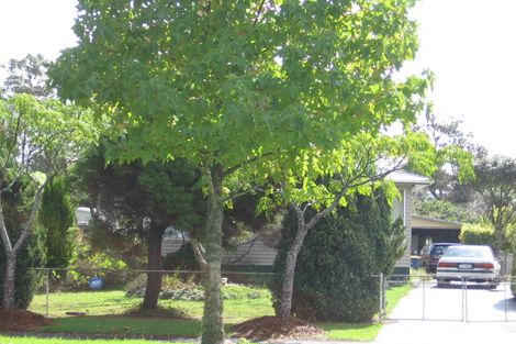 Photo of property in 80 Universal Drive, Henderson, Auckland, 0610