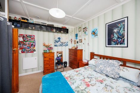 Photo of property in 17 Manson Street, Terrace End, Palmerston North, 4410