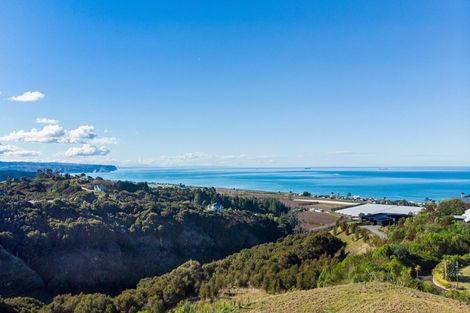 Photo of property in 39 Esk View Road, Eskdale, Napier, 4182