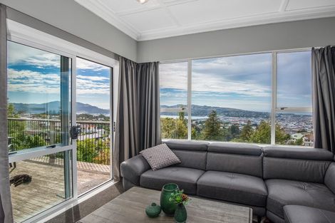 Photo of property in 3 Vickery Place, Maryhill, Dunedin, 9011