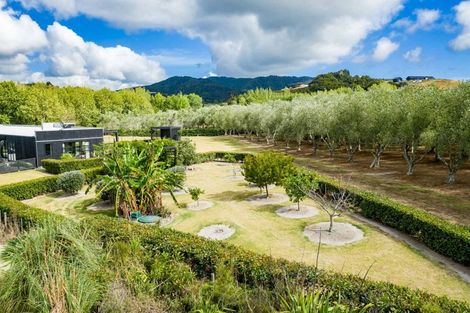 Photo of property in 28 Poplar Glade, Mangawhai, Kaiwaka, 0573