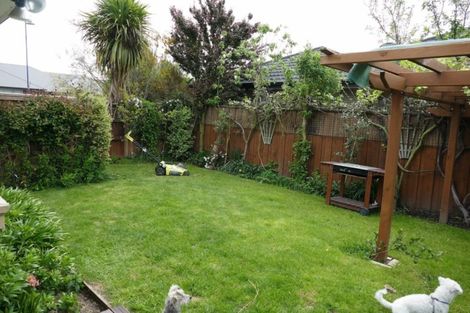 Photo of property in 6 Tommy Street, Pegasus, 7612