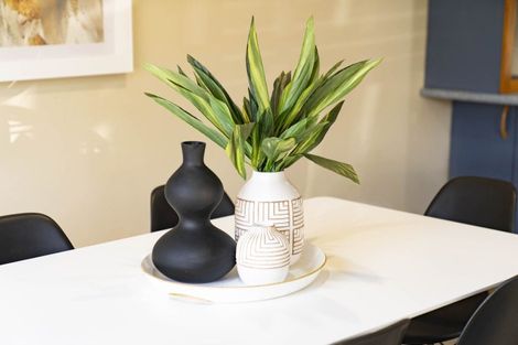 Photo of property in 6 Bain Street, Mount Maunganui, 3116