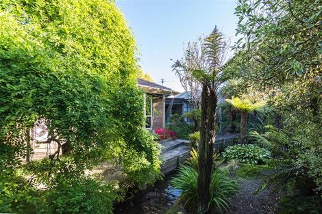 Photo of property in 275a Cranford Street, St Albans, Christchurch, 8052