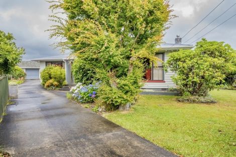 Photo of property in 158 Winchester Street, Levin, 5510