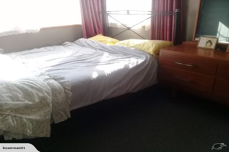 Photo of property in 118 Conway Street, Mayfair, Hastings, 4122