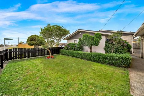 Photo of property in 14 Rimu Street, Hawera, 4610