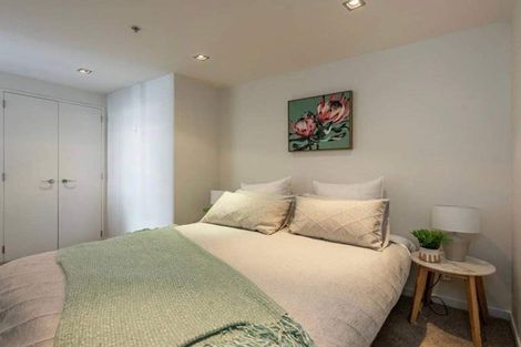 Photo of property in Piermont Apartments, 1b/82 Cable Street, Te Aro, Wellington, 6011