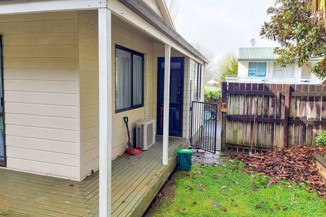 Photo of property in 20 Oakley Avenue, Claudelands, Hamilton, 3214