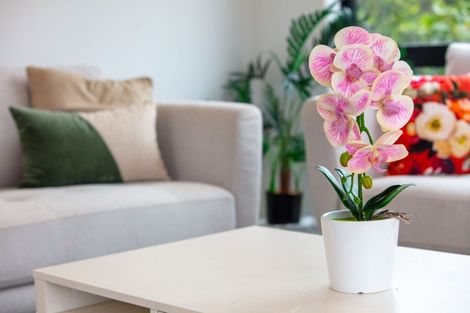 Photo of property in 45b Edinburgh Street, Waihi Beach, 3611