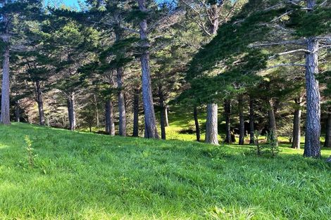 Photo of property in 1048 Otangaroa Road, Kaeo, 0479